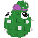Cactus Seed